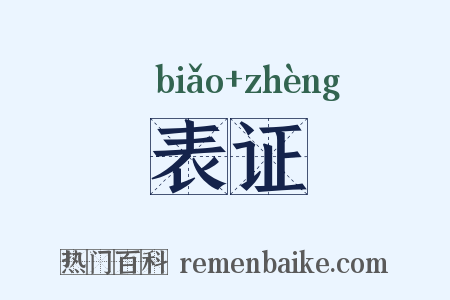 表证是什么意思的图片